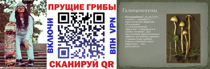 Псилоцибиновые грибы Psilocybine cubensis  Таруса 